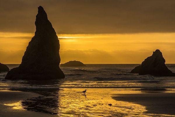 Oregon-Bandon Beach Wizards Hat formation at sunset